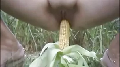 Belo sexo com uma charming melhor site porno brasileiro gratis morena